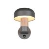 Trio T262569135 venkovní nástěnné svítidlo FRASER  E27