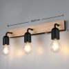 Trio T284470332 nástěnné svítidlo ARTURO  E27