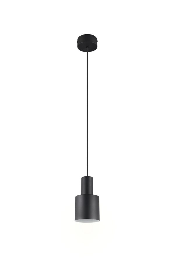 Trio T319400132 závěsné stropní svítidlo AGUDO  E27