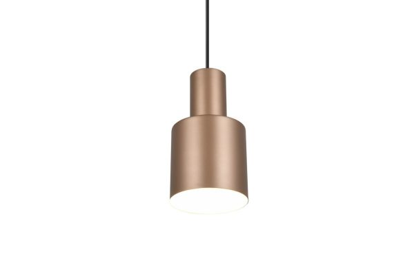 Trio T319400165 závěsné stropní svítidlo AGUDO  E27