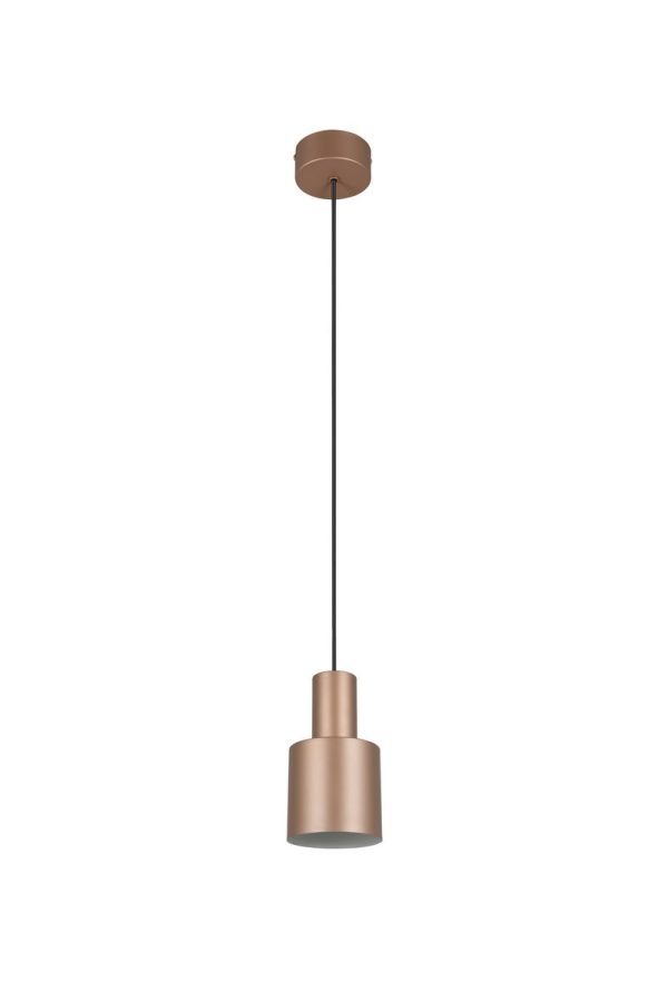 Trio T319400165 závěsné stropní svítidlo AGUDO  E27