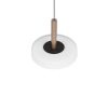 Trio T354910165 LED závěsné stropní svítidlo CELESTE  | 10W integrovaný LED zdroj | 1100lm | 3000K