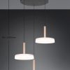 Trio T354930365 LED závěsné stropní svítidlo CELESTE  | 3x7,5W integrovaný LED zdroj | 3x750lm | 3000K