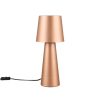 Trio T562900165 stolní lampička NUBIAN  E27