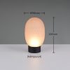 Trio T564210113 LED stolní lampička FACETTE | 1,5W integrovaný LED zdroj