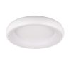 Trio T649614531 LED přisazené stropní svítidlo CARDONA | 29W integrovaný LED zdroj | 3300lm | 2300+3000+4000K