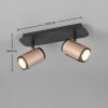 Trio T814500265 bodové stropní svítidlo GILLAN GU10