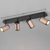 Trio T814500465 bodové stropní svítidlo GILLAN GU10