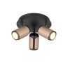 Trio T814530365 bodové stropní svítidlo GILLAN GU10