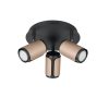 Trio T814530365 bodové stropní svítidlo GILLAN GU10
