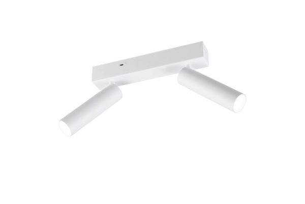 Trio T849210231 LED bodové stropní svítidlo AMBALA  integrovaný LED zdroj | 2x500lm | 2300+3000+4000K