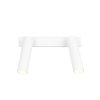 Trio T849210231 LED bodové stropní svítidlo AMBALA  integrovaný LED zdroj | 2x500lm | 2300+3000+4000K