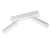 Trio T849210231 LED bodové stropní svítidlo AMBALA  integrovaný LED zdroj | 2x500lm | 2300+3000+4000K