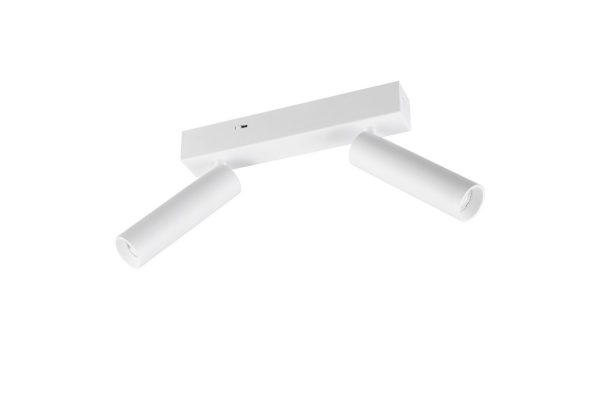 Trio T849210231 LED bodové stropní svítidlo AMBALA  integrovaný LED zdroj | 2x500lm | 2300+3000+4000K