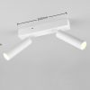 Trio T849210231 LED bodové stropní svítidlo AMBALA  integrovaný LED zdroj | 2x500lm | 2300+3000+4000K