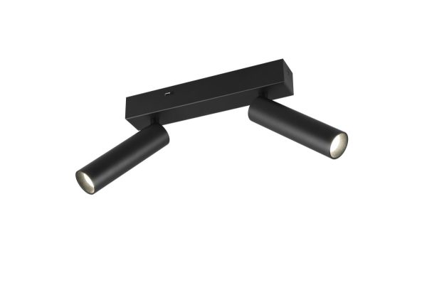 Trio T849210232 LED bodové stropní svítidlo AMBALA  integrovaný LED zdroj | 2x500lm | 2300+3000+4000K