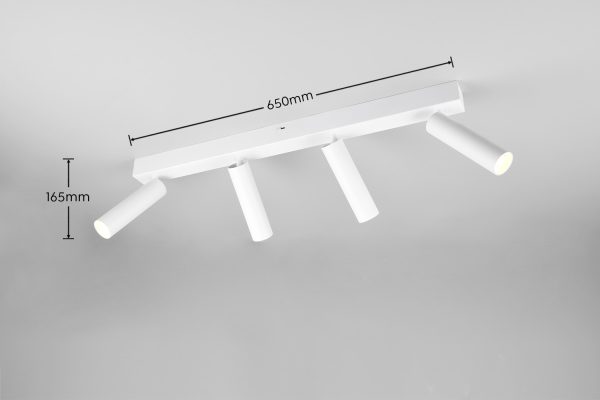 Trio T849210431 LED bodové stropní svítidlo AMBALA  integrovaný LED zdroj | 4x500lm | 2300+3000+4000K