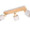 Trio T862700376 bodové stropní svítidlo SHANTI  E14