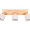 Trio T862700376 bodové stropní svítidlo SHANTI  E14