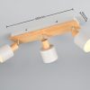 Trio T862700376 bodové stropní svítidlo SHANTI  E14