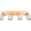 Trio T862700476 bodové stropní svítidlo SHANTI  E14