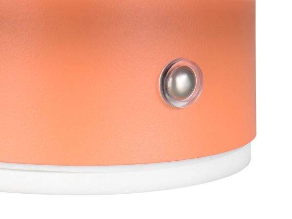 Trio TR24431140 LED nástěnné svítidlo DAVEY | 1,5W integrovaný LED zdroj