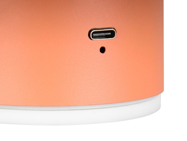 Trio TR24431140 LED nástěnné svítidlo DAVEY | 1,5W integrovaný LED zdroj