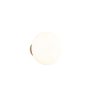 Trio TR27771101 LED nástěnné svítidlo EARL | 1,5W integrovaný LED zdroj