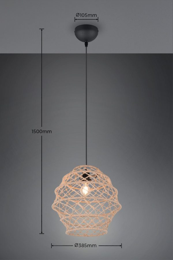 Trio TR31681936 závěsné stropní svítidlo HIVE E27