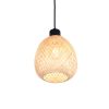 Trio TR31941036 závěsné stropní svítidlo AMELIE E27