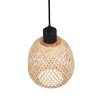 Trio TR31941036 závěsné stropní svítidlo AMELIE E27
