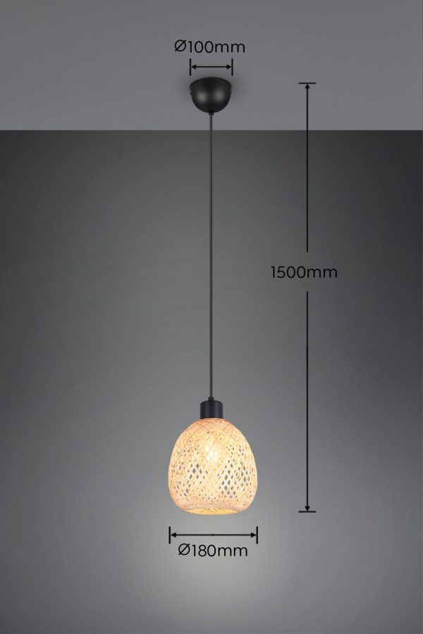 Trio TR31941036 závěsné stropní svítidlo AMELIE E27