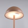 Trio TR54106165 LED stolní lampička RICARDO | 1,7W integrovaný LED zdroj