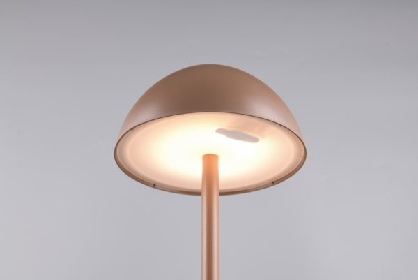Trio TR54106165 LED stolní lampička RICARDO | 1,7W integrovaný LED zdroj