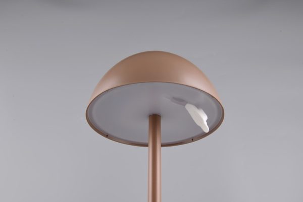 Trio TR54106165 LED stolní lampička RICARDO | 1,7W integrovaný LED zdroj