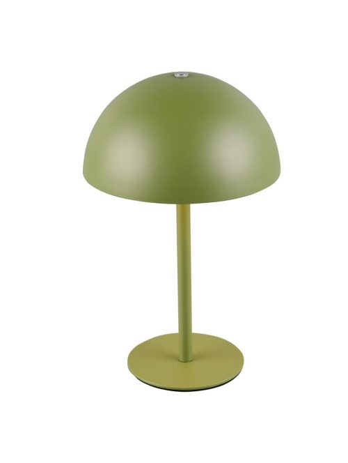 Trio TR54891115 LED stolní lampička MUNOZ | 1,3W integrovaný LED zdroj