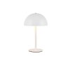 Trio TR54891131 LED stolní lampička MUNOZ | 1,3W integrovaný LED zdroj