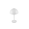Trio TR54891131 LED stolní lampička MUNOZ | 1,3W integrovaný LED zdroj