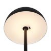 Trio TR54891132 LED stolní lampička MUNOZ | 1,3W integrovaný LED zdroj