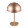 Trio TR54891165 LED stolní lampička MUNOZ | 1,3W integrovaný LED zdroj