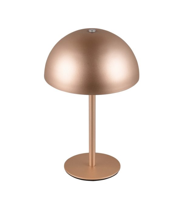 Trio TR54891165 LED stolní lampička MUNOZ | 1,3W integrovaný LED zdroj