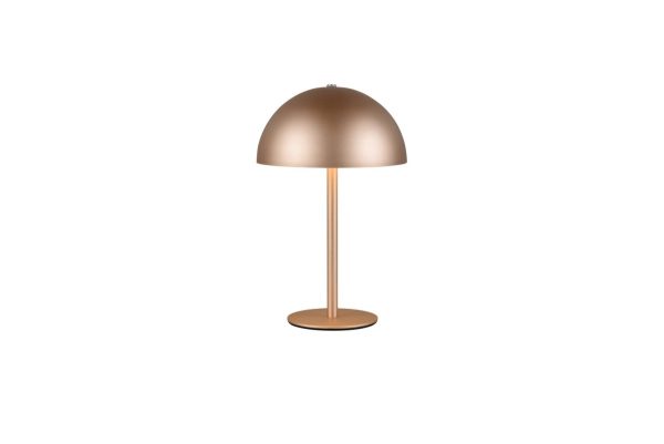 Trio TR54891165 LED stolní lampička MUNOZ | 1,3W integrovaný LED zdroj