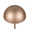 Trio TR54891165 LED stolní lampička MUNOZ | 1,3W integrovaný LED zdroj