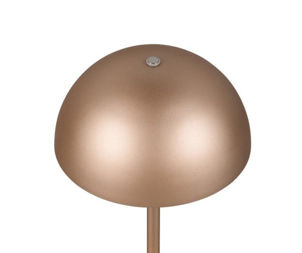 Trio TR54891165 LED stolní lampička MUNOZ | 1,3W integrovaný LED zdroj