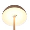 Trio TR54891165 LED stolní lampička MUNOZ | 1,3W integrovaný LED zdroj