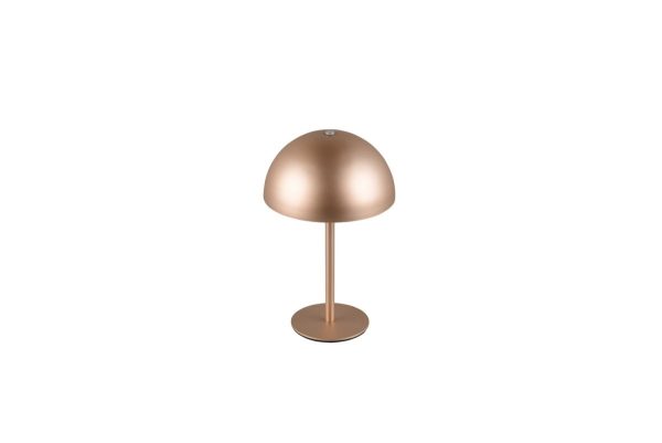 Trio TR54891165 LED stolní lampička MUNOZ | 1,3W integrovaný LED zdroj