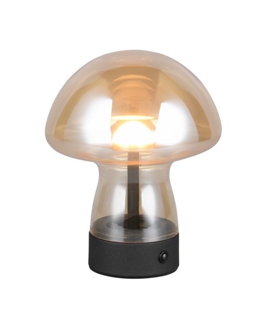 Trio TR54981113 LED stolní lampička DOOLEY | 1,5W integrovaný LED zdroj