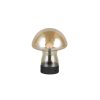 Trio TR54981113 LED stolní lampička DOOLEY | 1,5W integrovaný LED zdroj