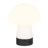 Trio TR54981131 LED stolní lampička DOOLEY | 1,5W integrovaný LED zdroj