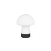 Trio TR54981131 LED stolní lampička DOOLEY | 1,5W integrovaný LED zdroj